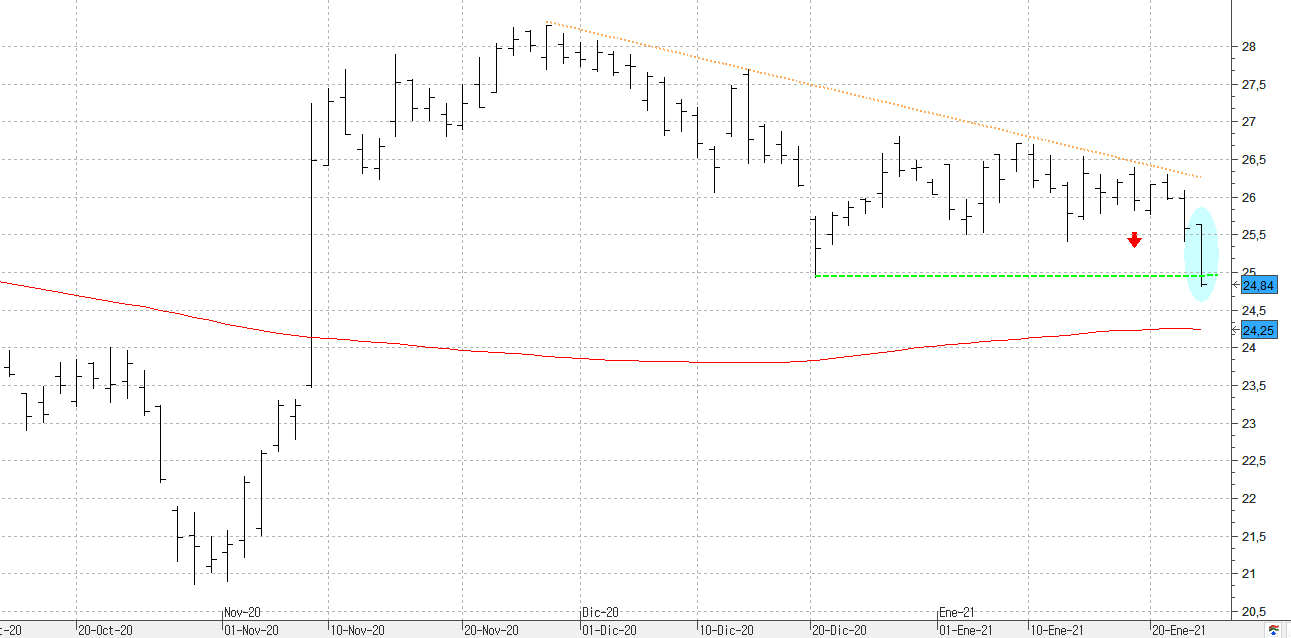 c250121inditex c250121inditex