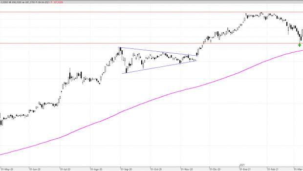 tsla070421