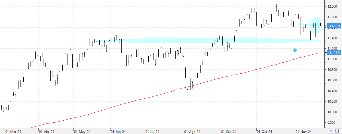 241124ibex 241124ibex