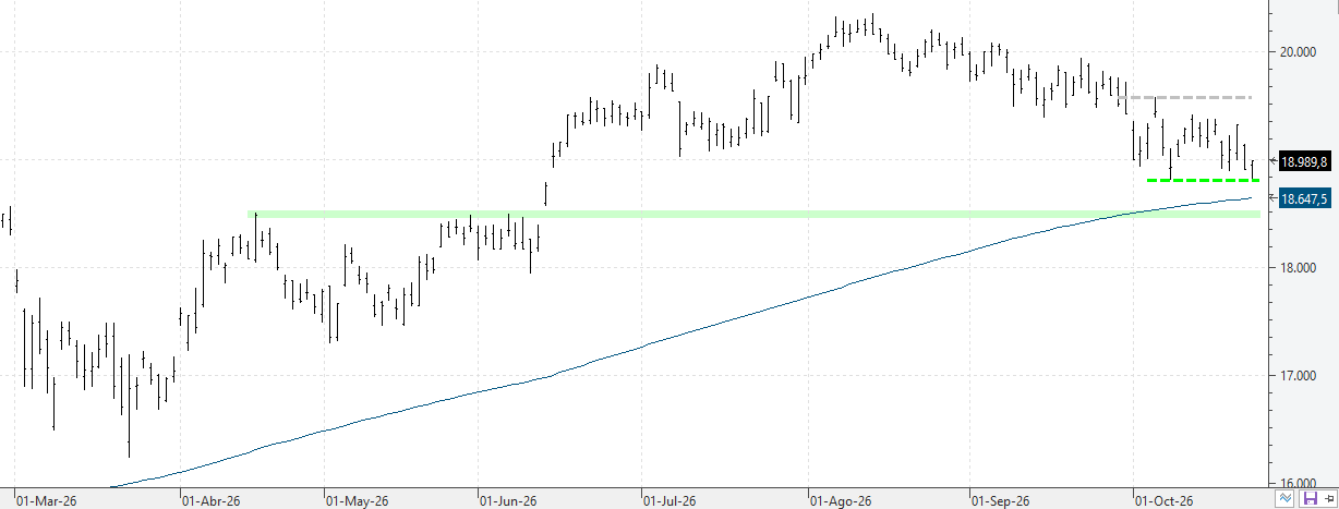 c231026ibex